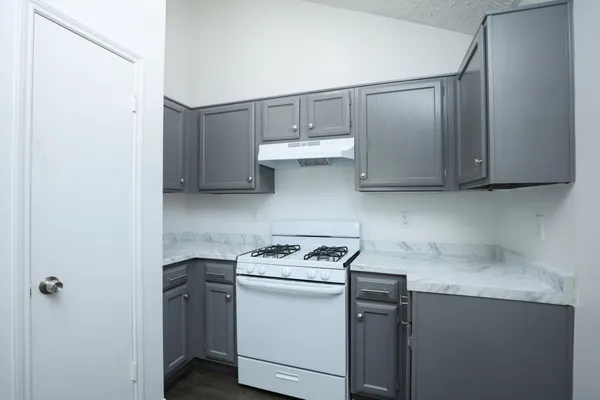 $1,595 | 19938 Laurel Trail Drive, Cypress, TX 77433