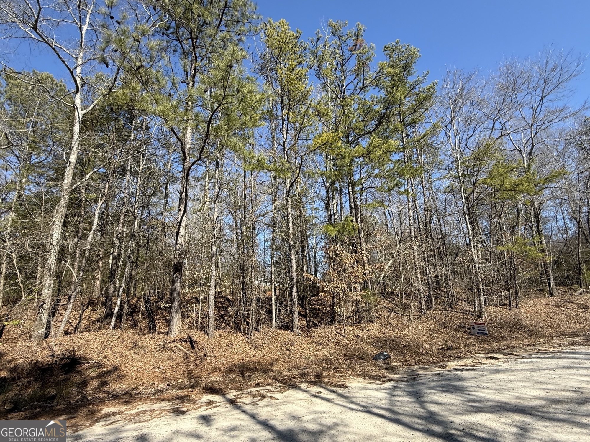 0 Browns Bridge Road Bowman, GA 30624 - Photo 1 of 1 a view of a yard with trees