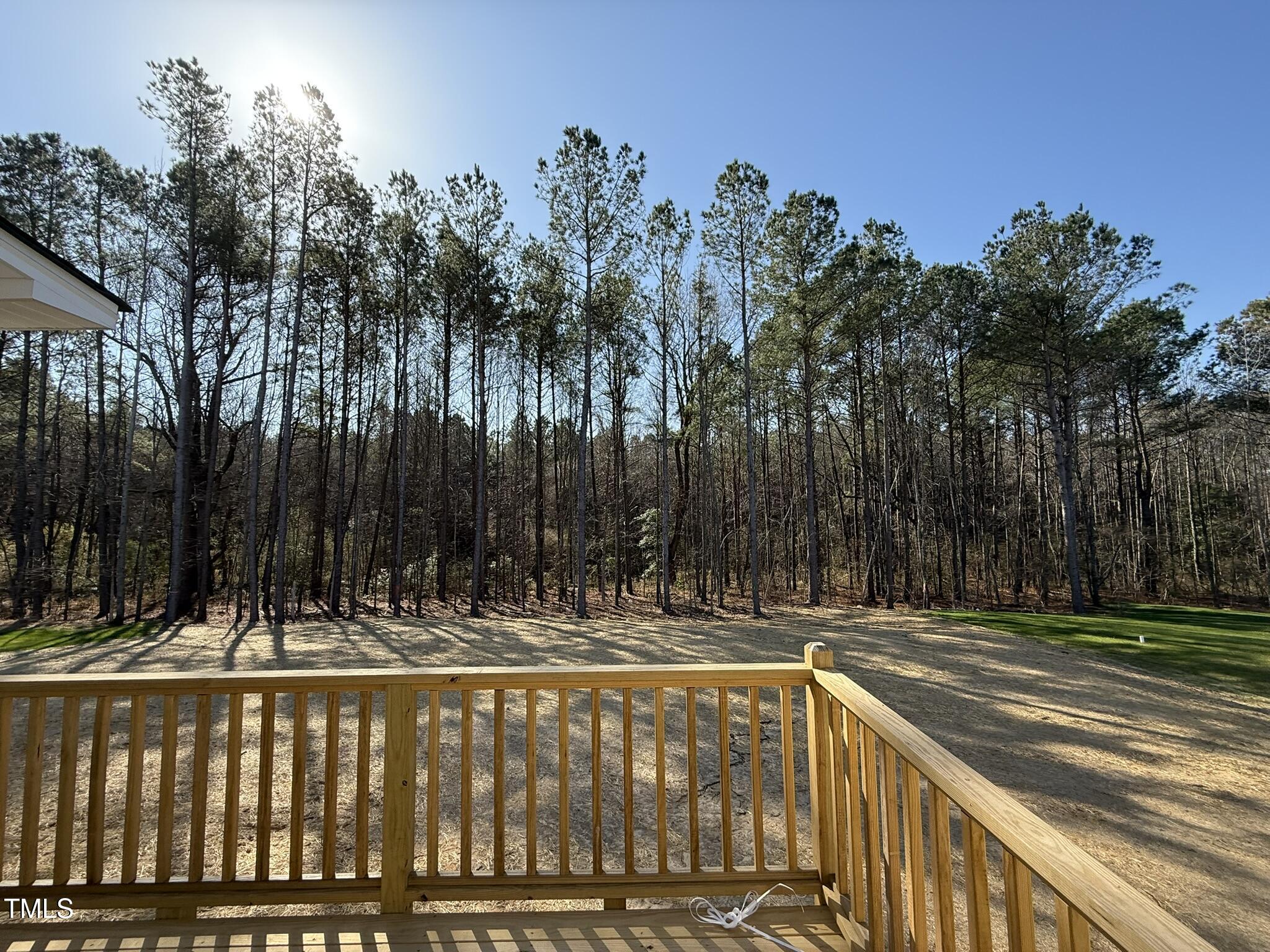 275 Magnolia Run Way Benson, NC 27504 - Photo 15 of 15 IMG_4228