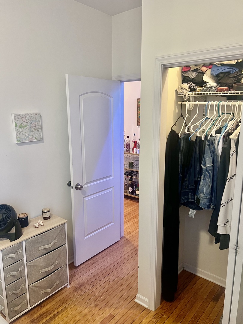 1421 West Huron Street, Unit 2R Chicago, IL 60642 - Photo 11 of 19 a view of walk in closet with clothes and shoes