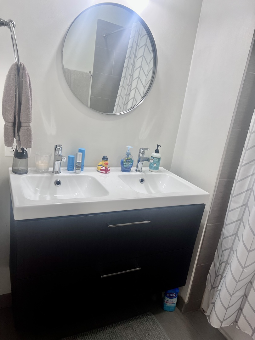 1421 West Huron Street, Unit 2R Chicago, IL 60642 - Photo 18 of 19 a bathroom with a sink and a mirror