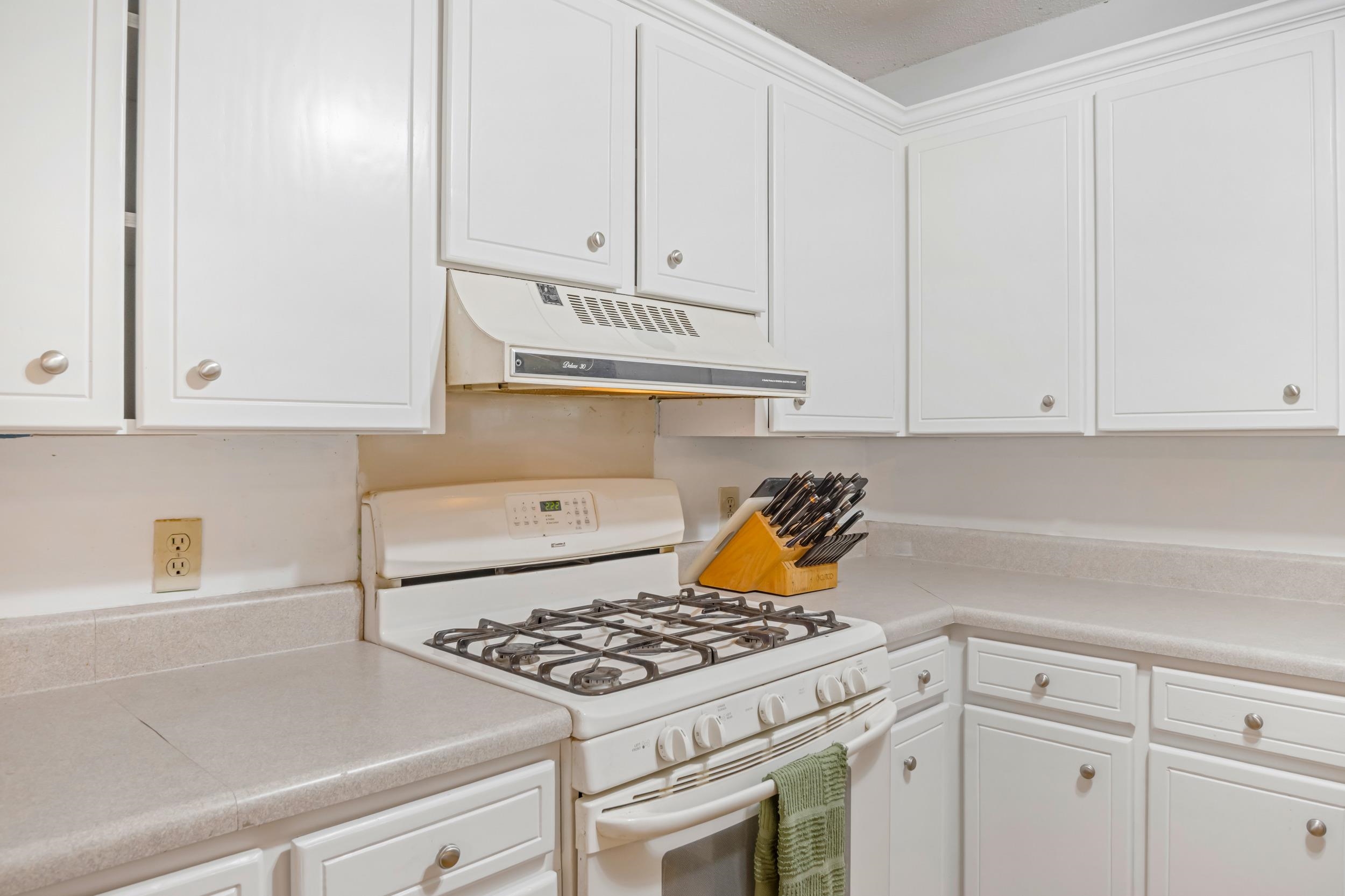 1175 Springdale Circle Boiling Springs, SC 29316 - Photo 13 of 31 Gallery Image 13