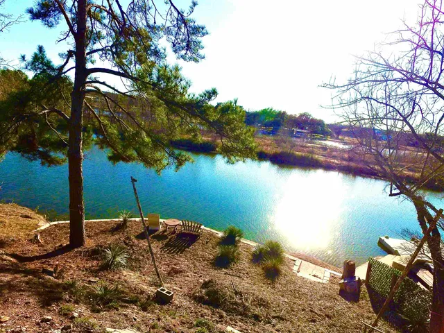 a lake view with a tree