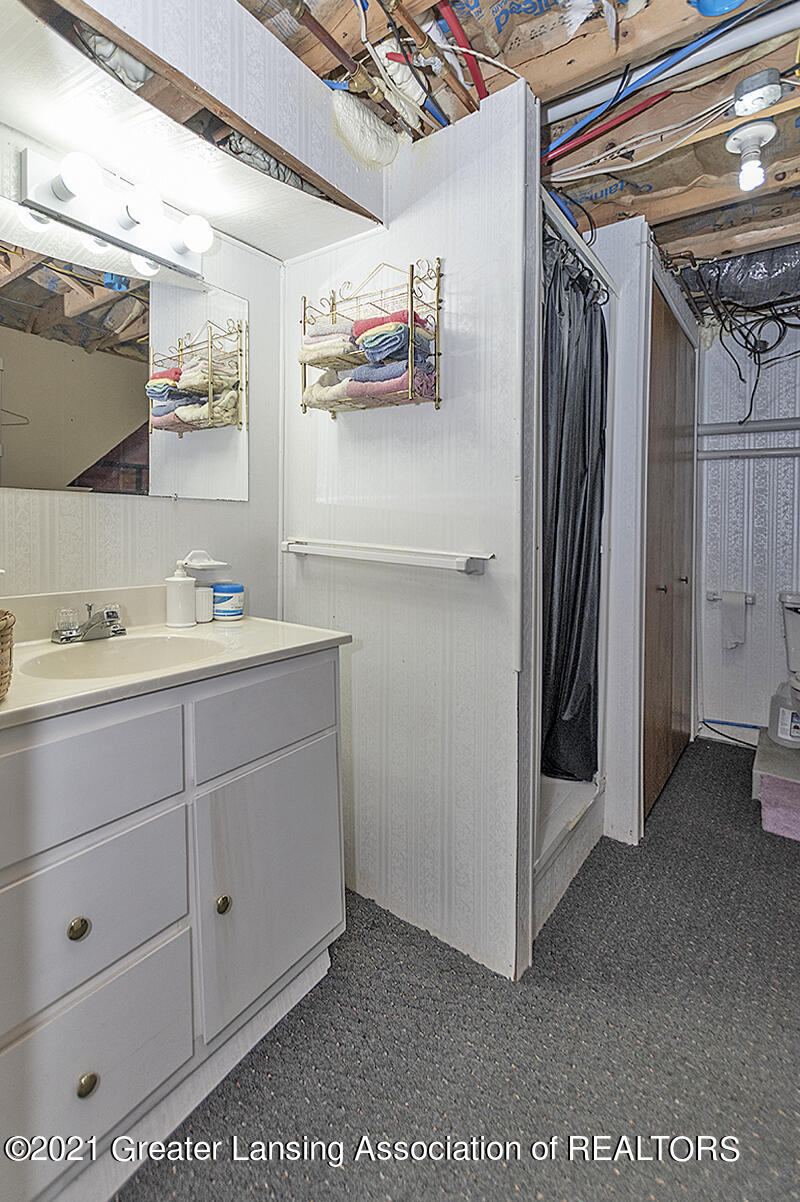 4890 Nichols Road Mason, MI 48854 - Photo 38 of 45 Bonus LL bath