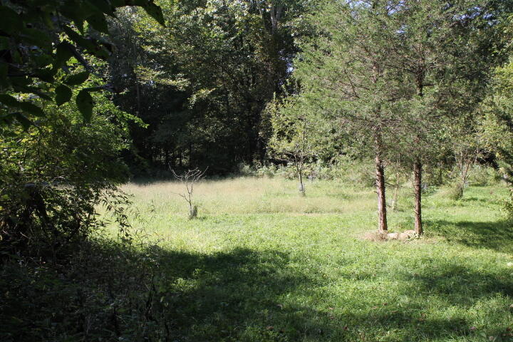 12150 Lone Tree Road Milford, MI 48380 - Photo 12 of 25