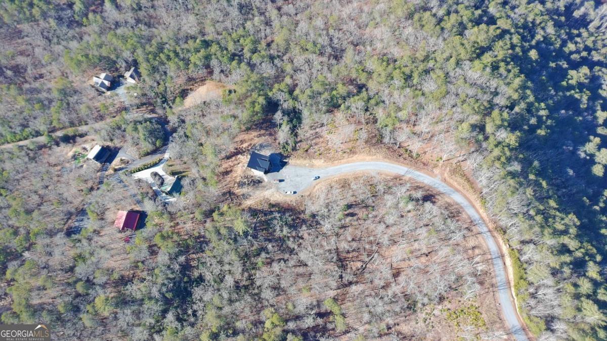 Lot 53 Mountain Laurel Ridge Mineral Bluff, GA 30559 - Photo 2 of 8