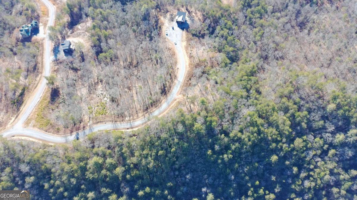 Lot 53 Mountain Laurel Ridge Mineral Bluff, GA 30559 - Photo 3 of 8