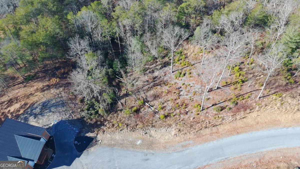 Lot 53 Mountain Laurel Ridge Mineral Bluff, GA 30559 - Photo 4 of 8