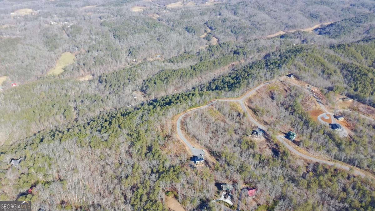 Lot 53 Mountain Laurel Ridge Mineral Bluff, GA 30559 - Photo 5 of 8