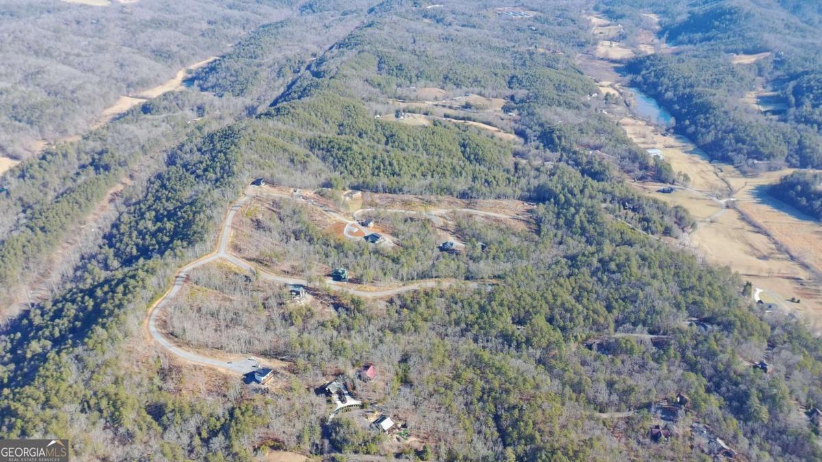 Lot 53 Mountain Laurel Ridge Mineral Bluff, GA 30559 - Photo 6 of 8