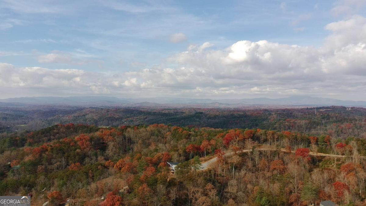 Lot 53 Mountain Laurel Ridge Mineral Bluff, GA 30559 - Photo 7 of 8
