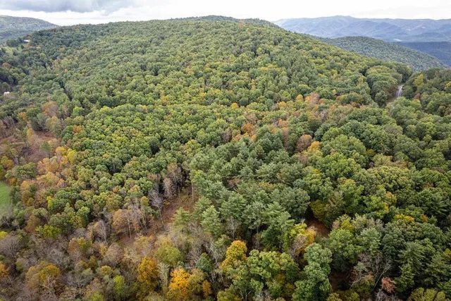 a view of a forest from a mountain view