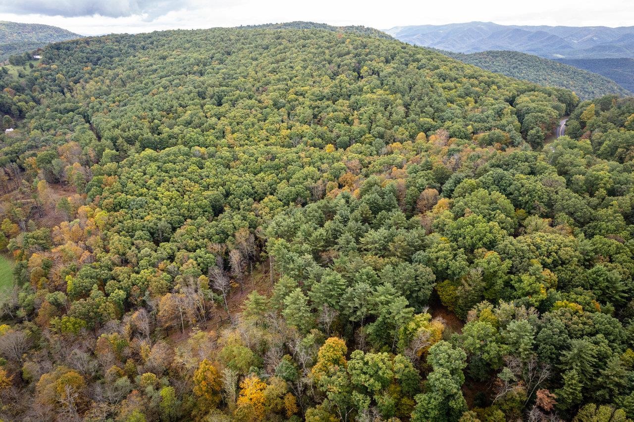 -22.72 Ac 22.72-ac Dry Run Road Sugar Grove, WV 26815 - Photo 13 of 41 a view of a mountain range with trees in the background