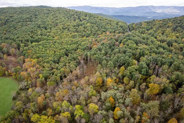 a view of a large yard with lots of green space