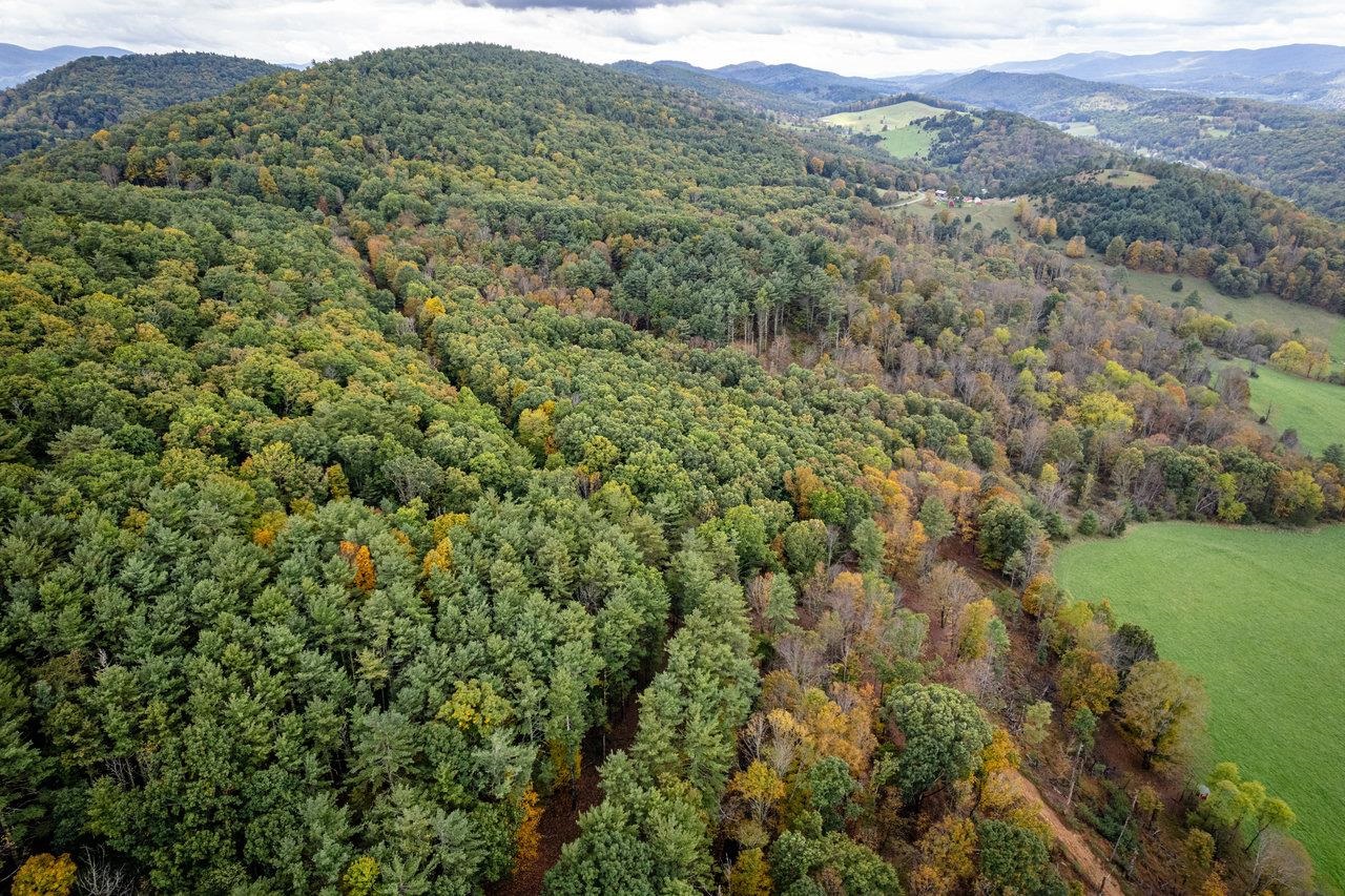 -22.72 Ac 22.72-ac Dry Run Road Sugar Grove, WV 26815 - Photo 19 of 41 a view of a lush green forest with lush green forest