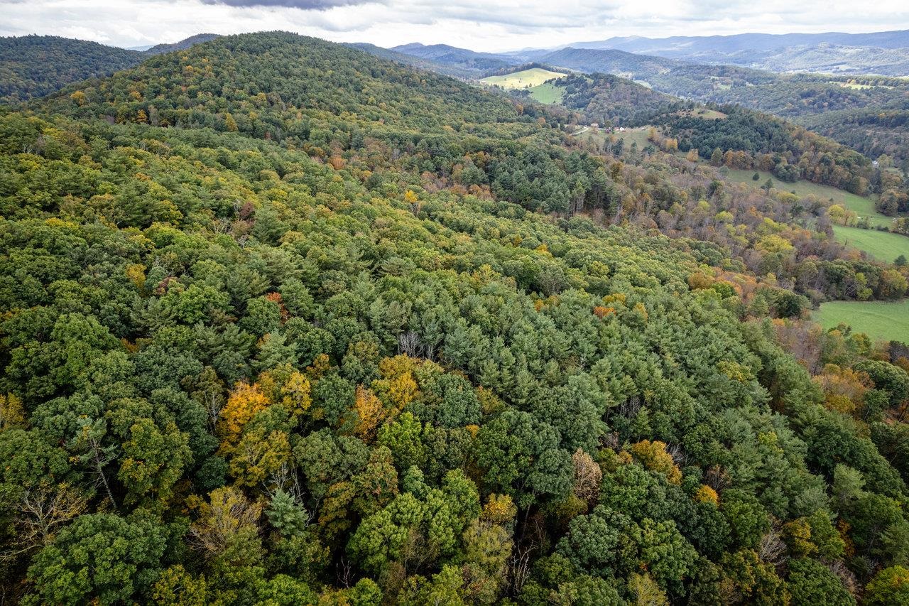 -22.72 Ac 22.72-ac Dry Run Road Sugar Grove, WV 26815 - Photo 21 of 41 a view of a lush green forest with lush green forest