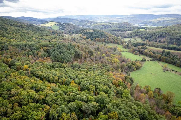 a view of a lush green hillside and a mountain