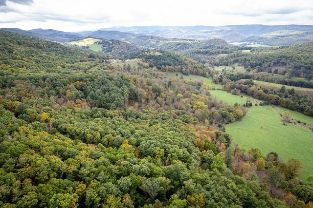 a view of a lush green hillside and a mountain
