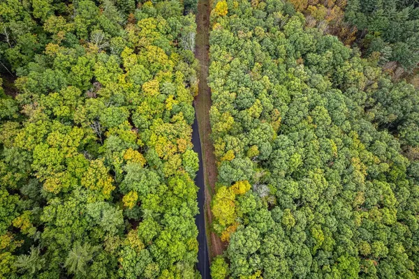 a view of a lush green forest with a yard