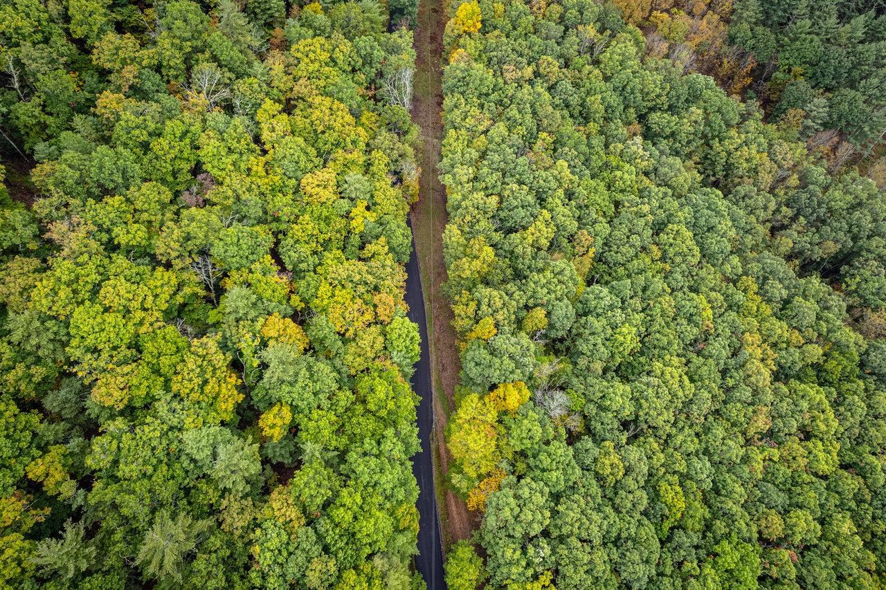 -22.72 Ac 22.72-ac Dry Run Road Sugar Grove, WV 26815 - Photo 24 of 41