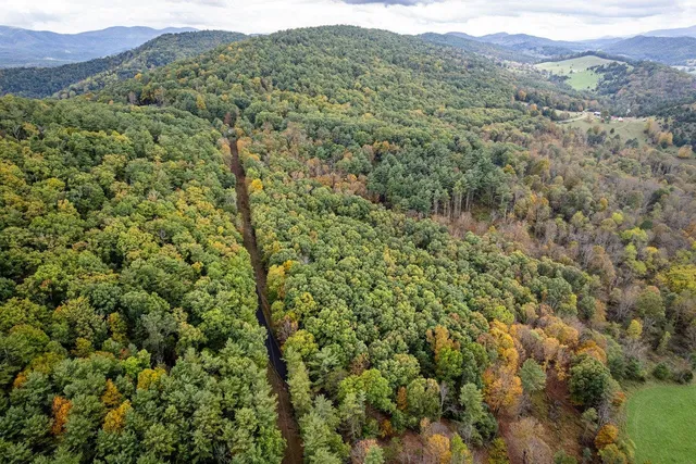 a view of a green field with lots of bushes