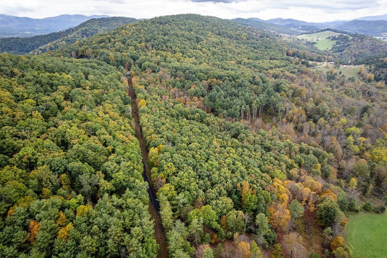 -22.72 Ac 22.72-ac Dry Run Road Sugar Grove, WV 26815 - Photo 25 of 41 a view of a forest with a street