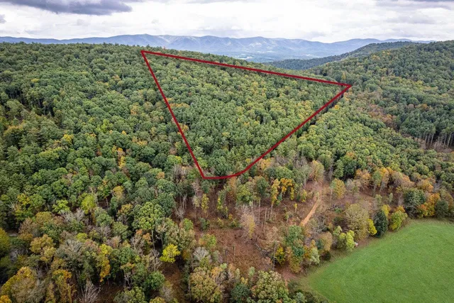 a view of a lush green hillside and houses