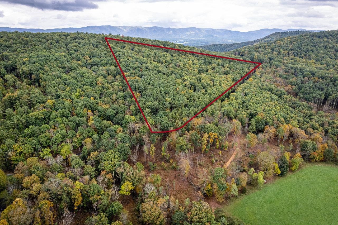 -22.72 Ac 22.72-ac Dry Run Road Sugar Grove, WV 26815 - Photo 27 of 41 a view of a green field with lots of bushes