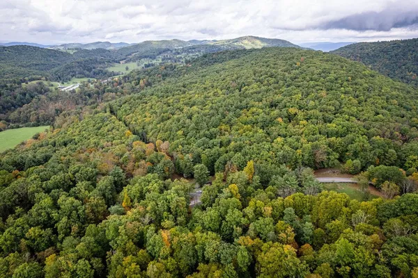 a view of a lush green forest with mountains in the background