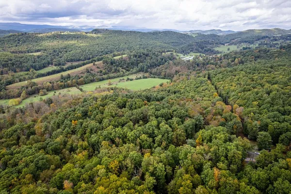 a view of a lush green field with mountains in the background