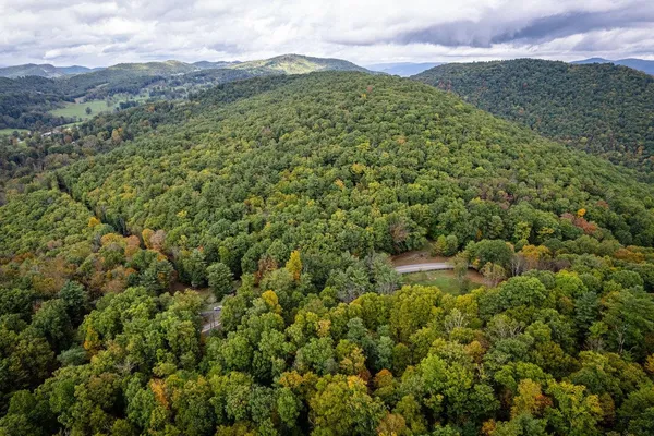 a view of a lush green forest with a mountain