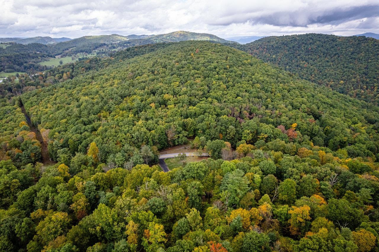 -22.72 Ac 22.72-ac Dry Run Road Sugar Grove, WV 26815 - Photo 33 of 41 a view of a lush green forest with a mountain