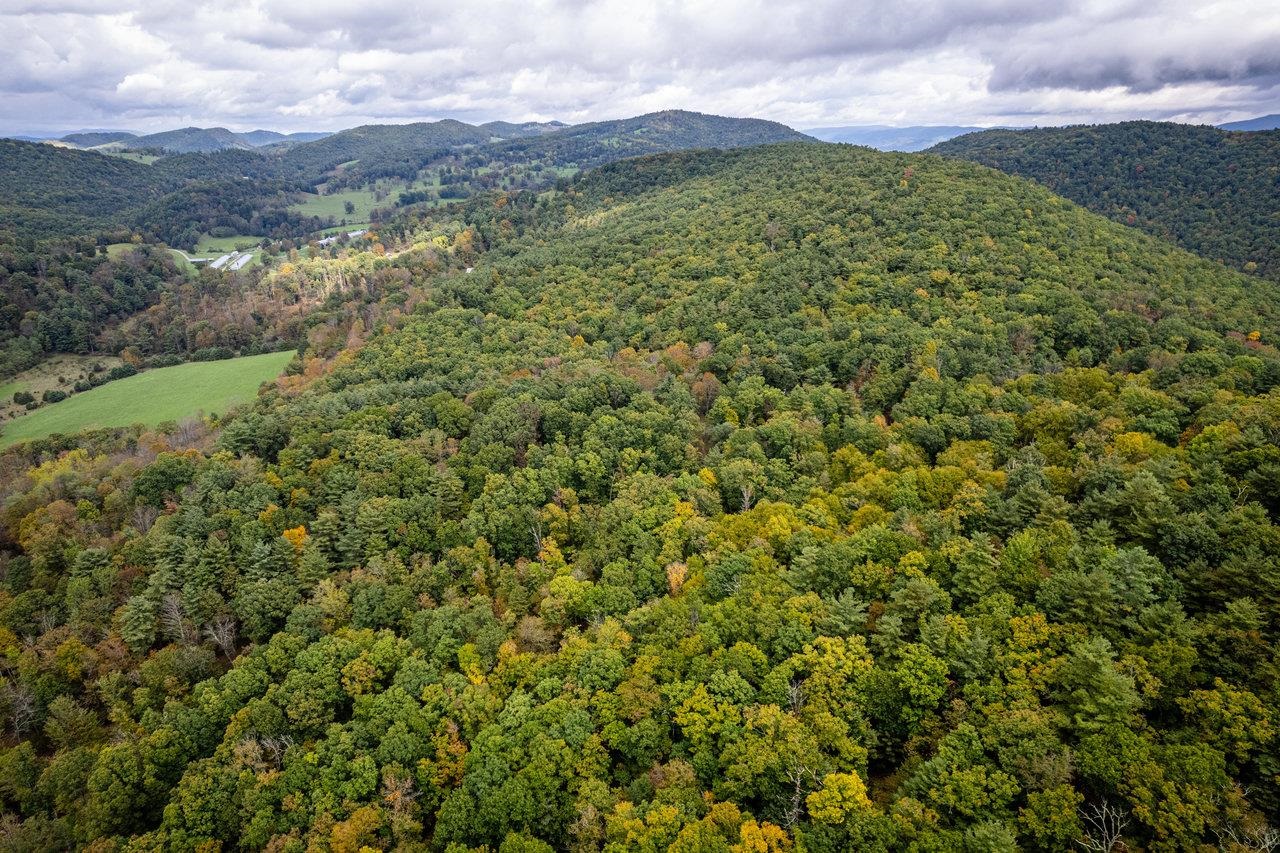 -22.72 Ac 22.72-ac Dry Run Road Sugar Grove, WV 26815 - Photo 37 of 41 a view of a lush green forest with mountains in the background