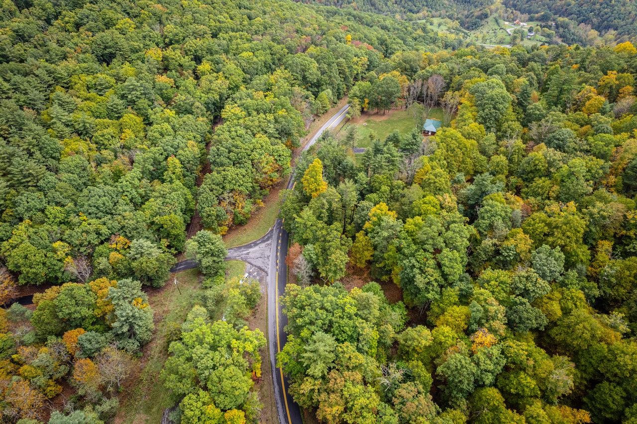 -22.72 Ac 22.72-ac Dry Run Road Sugar Grove, WV 26815 - Photo 40 of 41 a view of a garden with plants