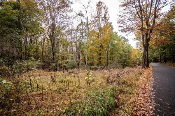 a view of outdoor space with trees