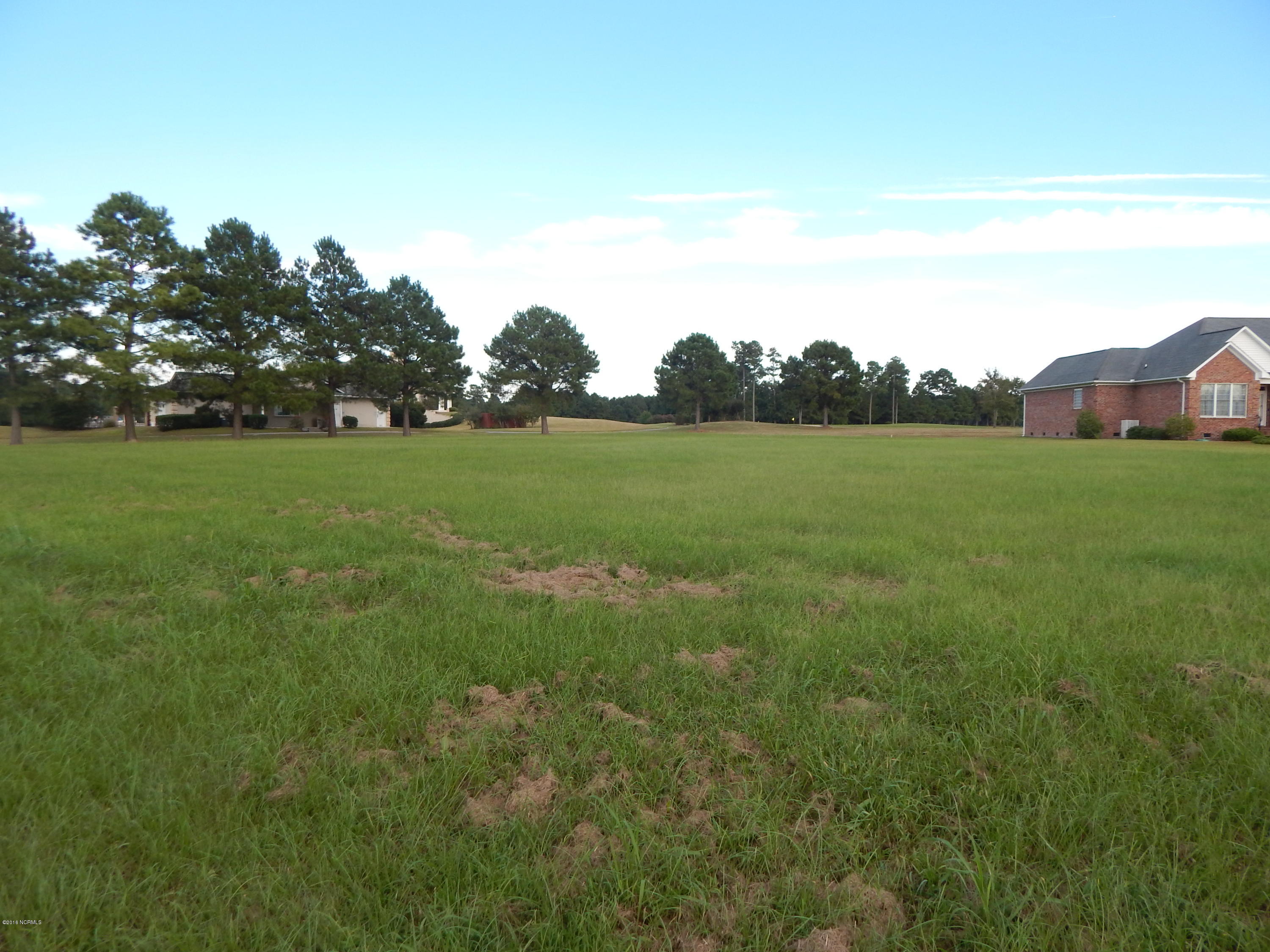 101 Teufen Road New Bern, NC 28562 - Photo 4 of 8 DSCN2173