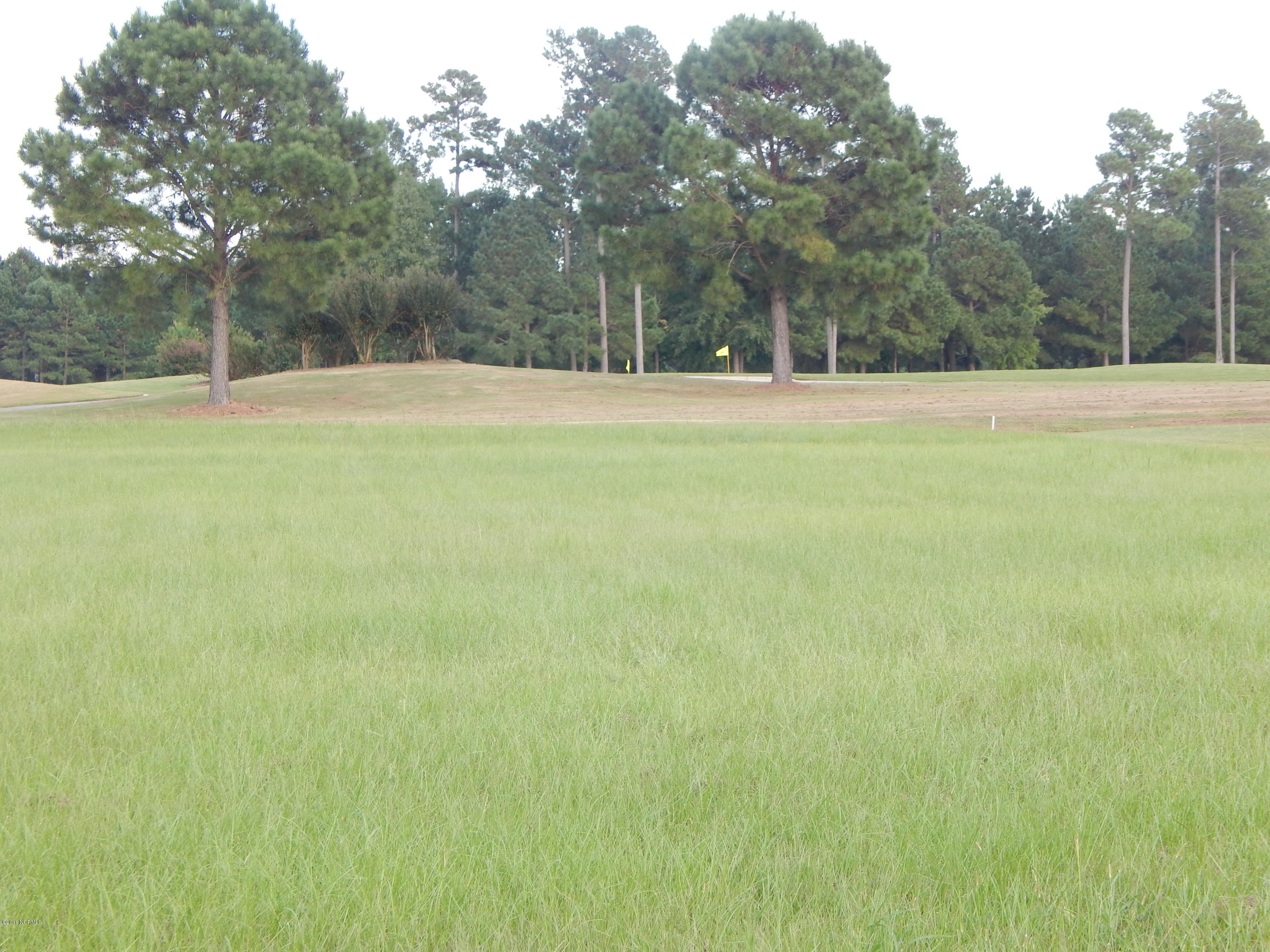 101 Teufen Road New Bern, NC 28562 - Photo 7 of 8 DSCN2176