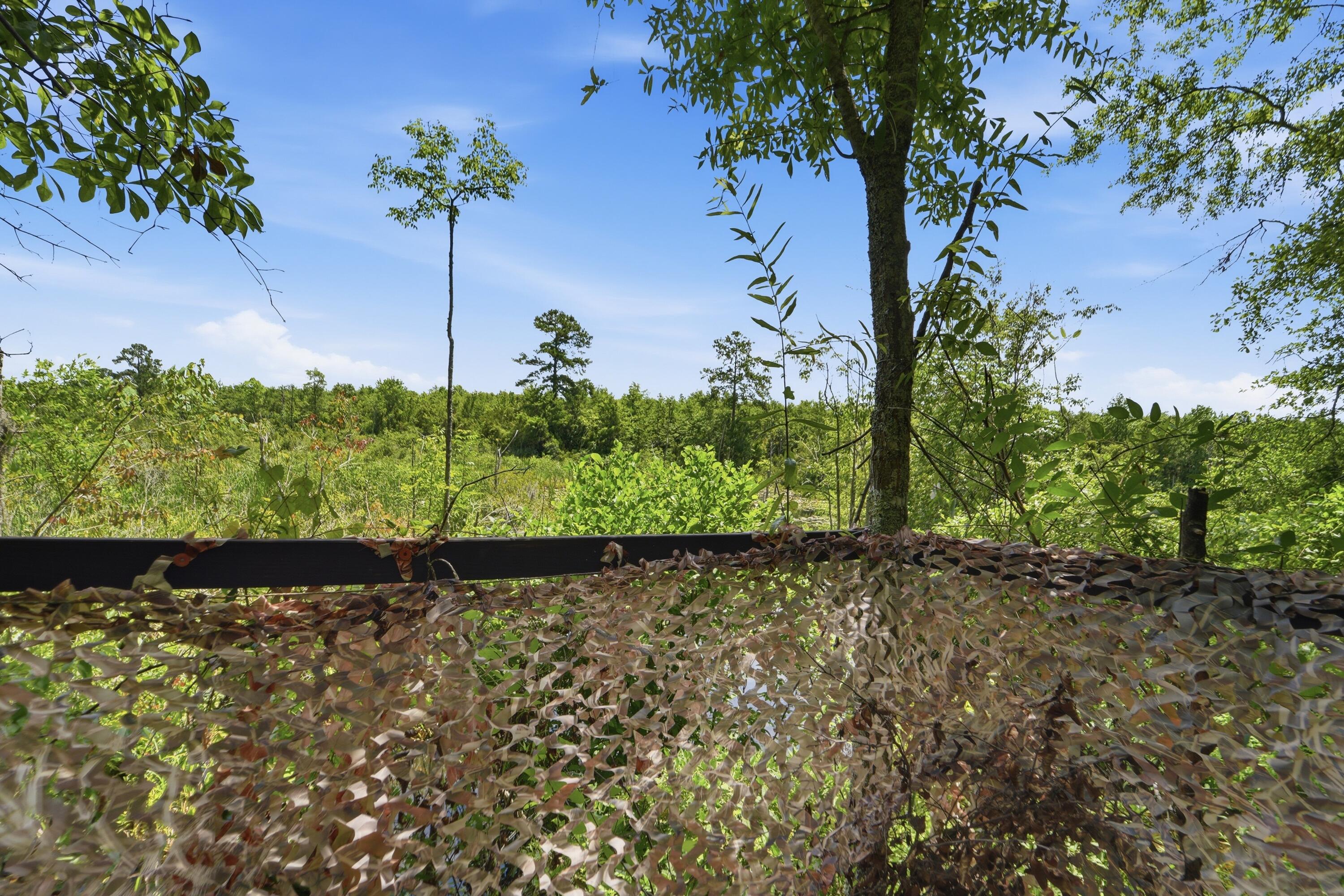 1530 Catfish Lane Manning, SC 29102 - Photo 20 of 37 hunting blind