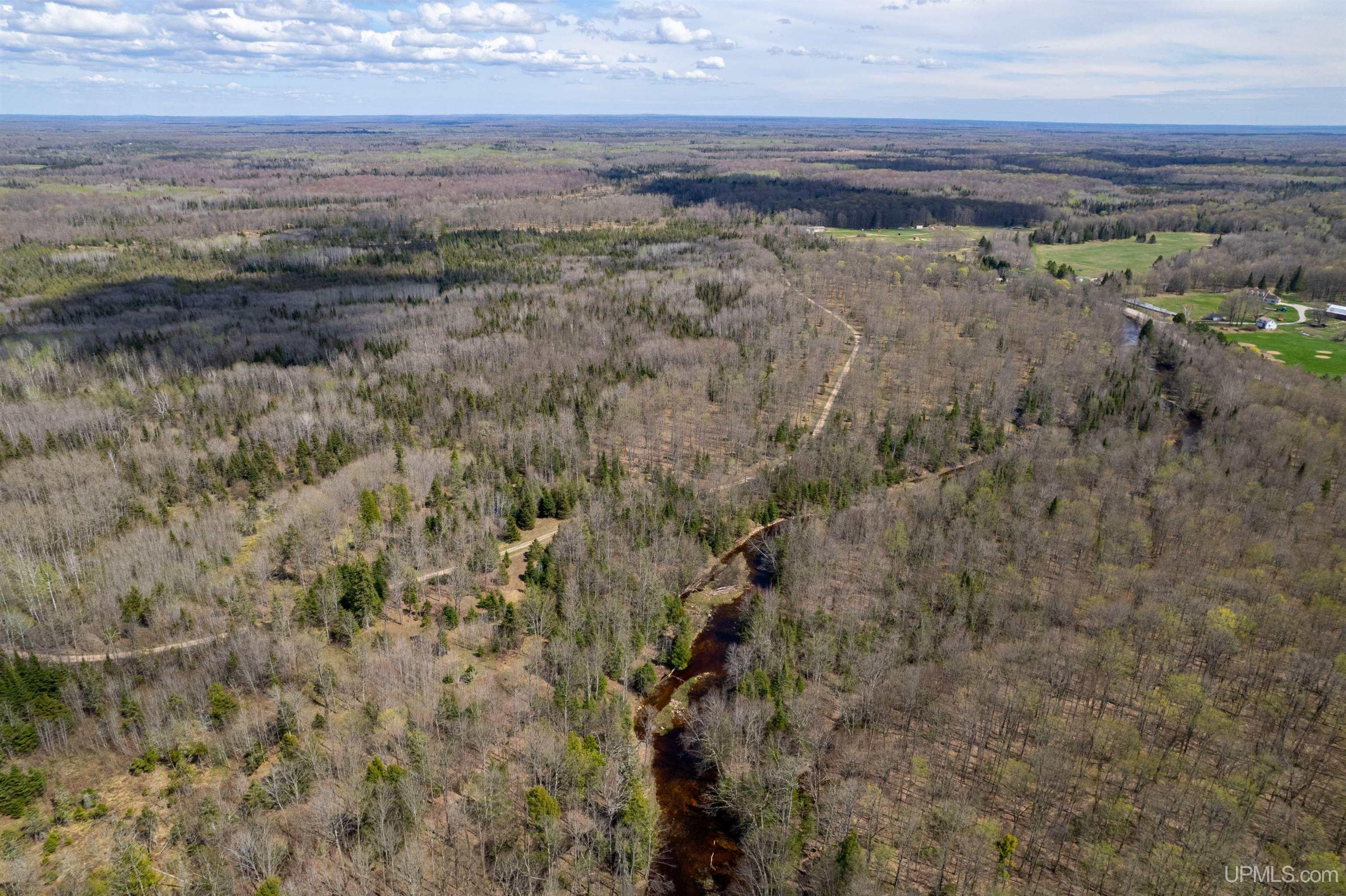 Tbd East Maple Ridge Road Rapid River, MI 49878 - Photo 23 of 23