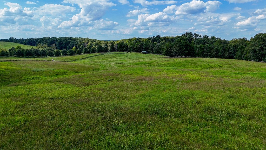 2075 Hudson Road Virgilina, VA 24598 - Photo 19 of 49 Gallery Image 19