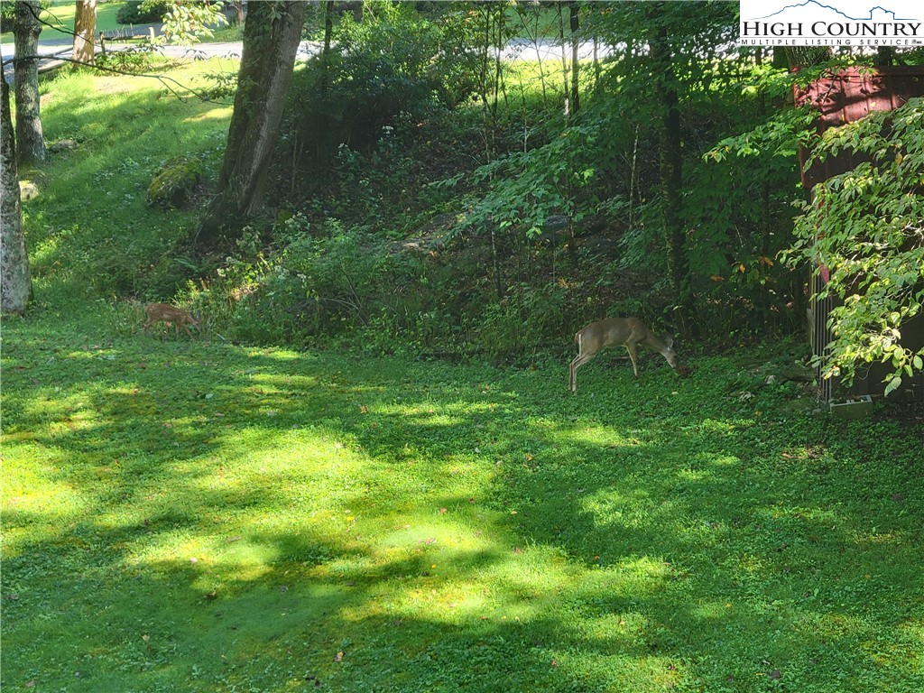 110 Old Keller Farm Road Boone, NC 28607 - Photo 20 of 25 Gallery Image 20