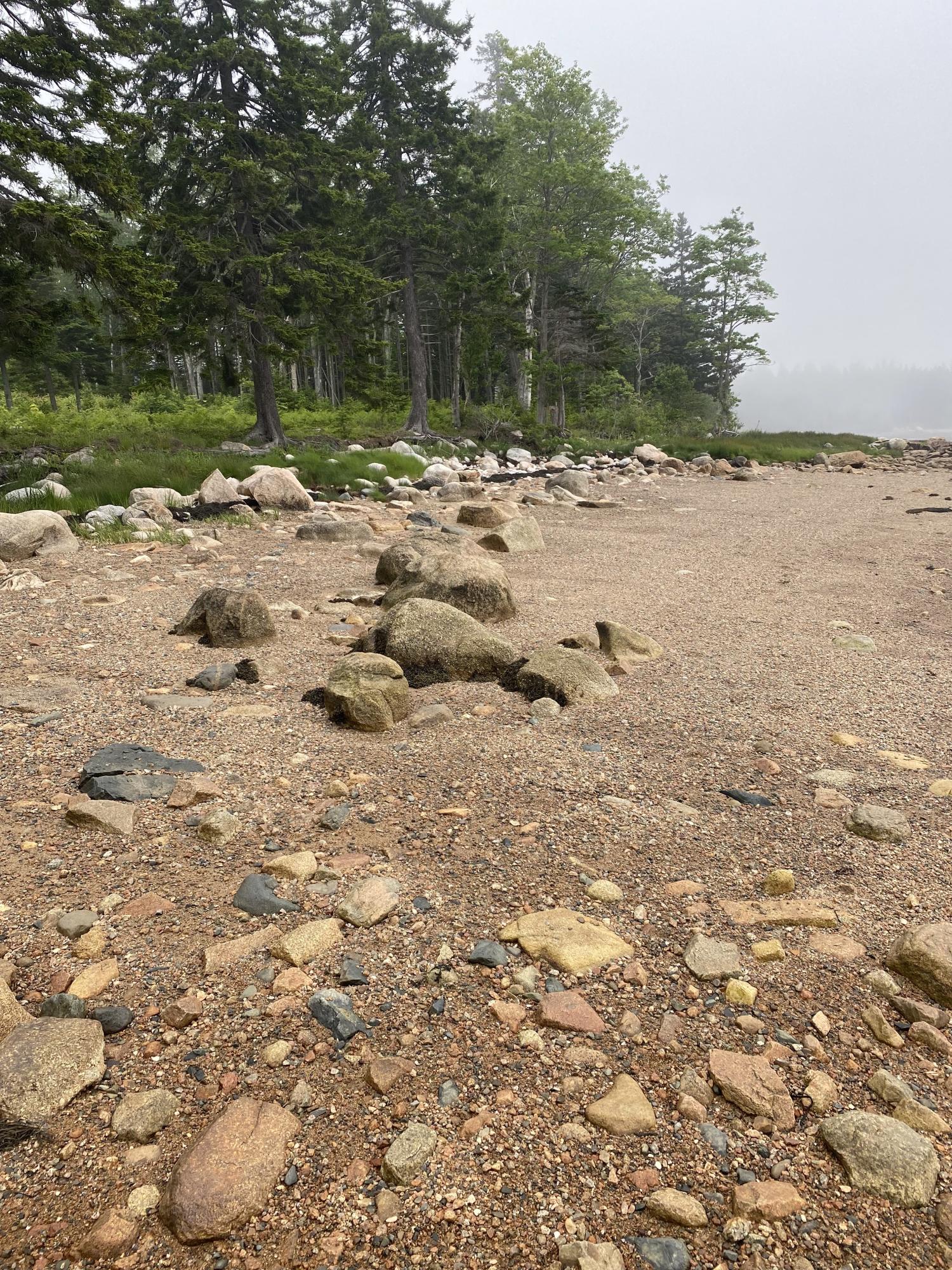 170 Estates Road Steuben, ME 04680 - Photo 13 of 31 64599942213__F45910ED-3A86-4143-A67E-E21