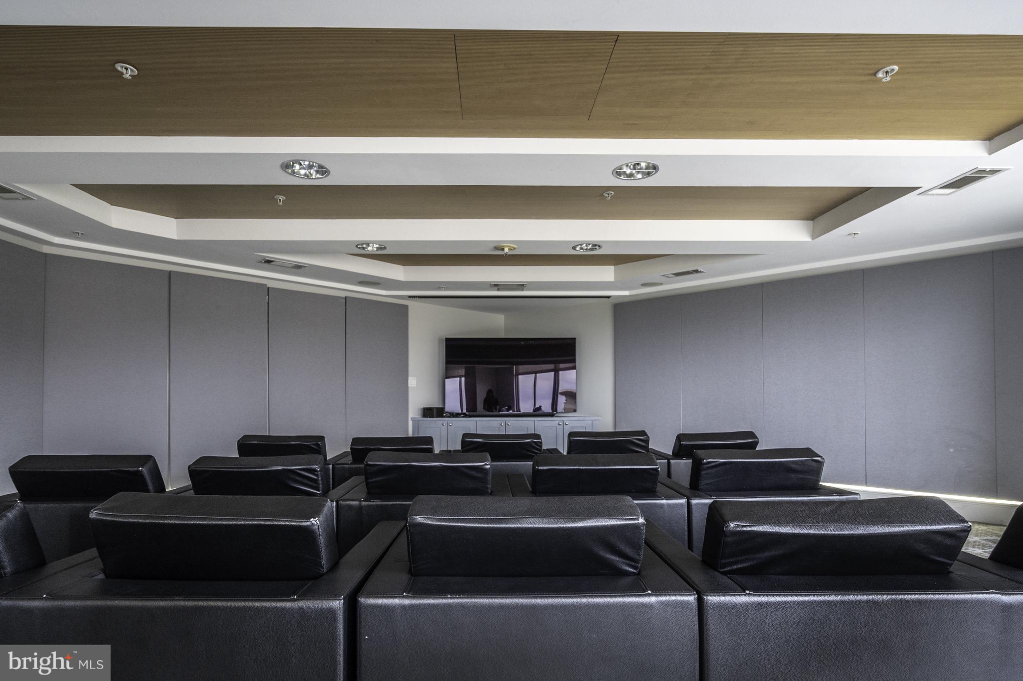 3600 South Glebe Road, Unit 516W Arlington, VA 22202 - Photo 49 of 68 Community theatre/meeting room