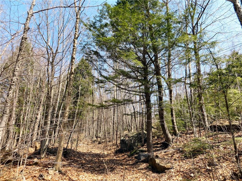Lot 76 Douglas Road Newry, ME 04261 - Photo 7 of 14 Future home site on slope to left