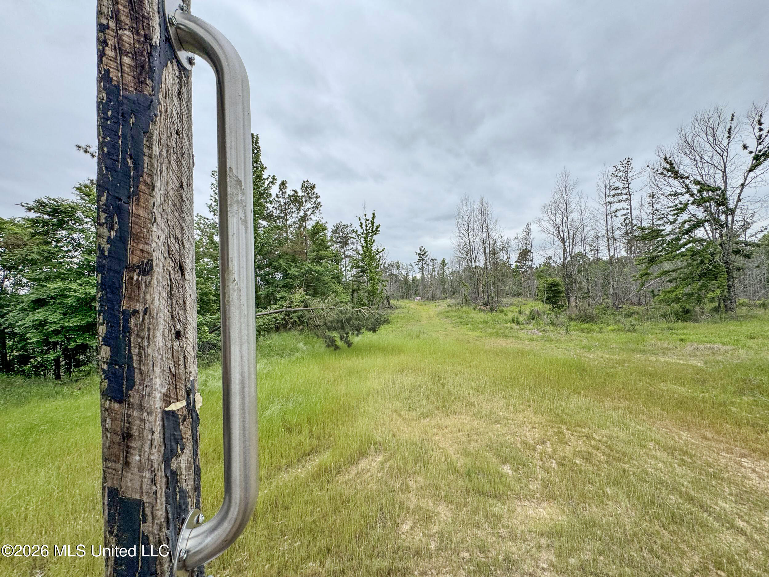 Wayne Massie Road Como, MS 38619 - Photo 148 of 184 5cdtbs92
