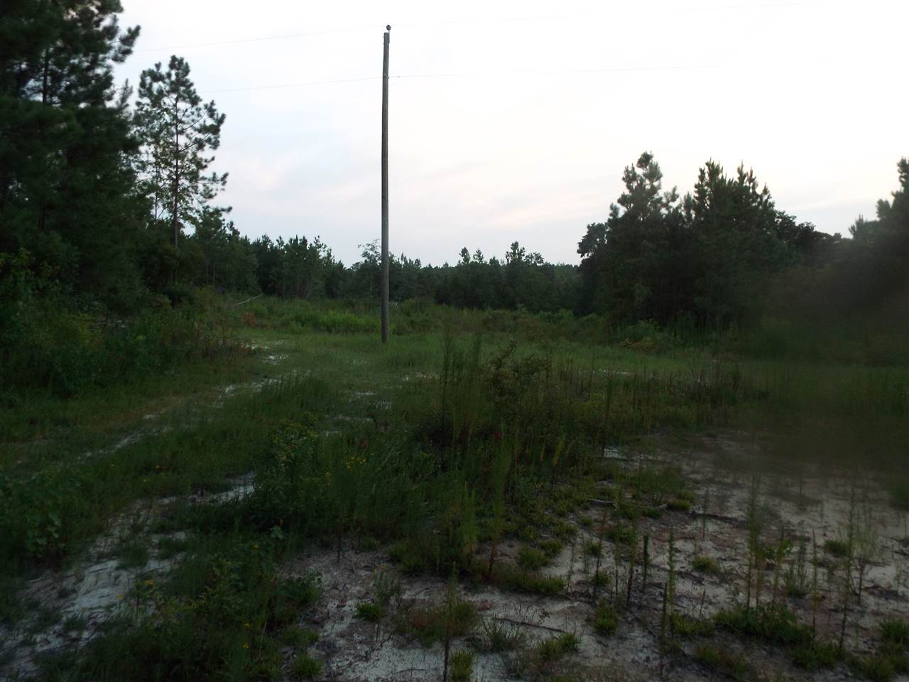 710 Rawls Road Red Level, AL 36474 - Photo 30 of 30 Gallery Image 30