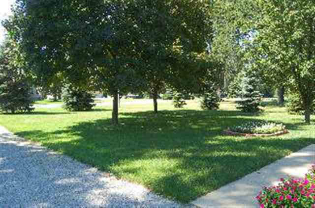 8318 Summerfield Road Lambertville, MI 48144 - Photo 6 of 13 FRONT YARD TREES
