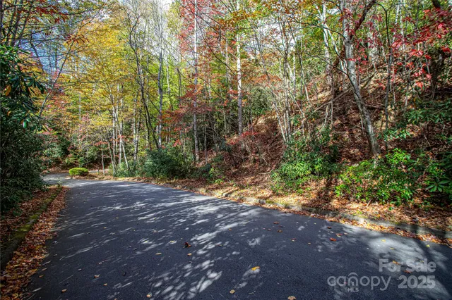a view of a yard with plants and trees