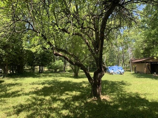 5809 Middle Street Hale, MI 48739 - Photo 35 of 36 1910564-34.JPG