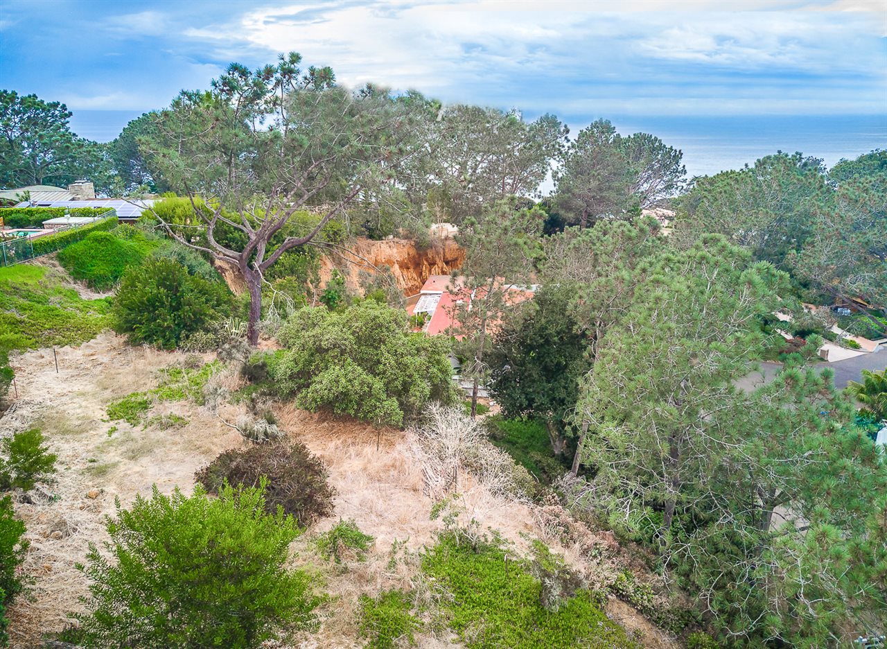 321 Hidden Pines Road Del Mar, CA 92014 - Photo 3 of 8